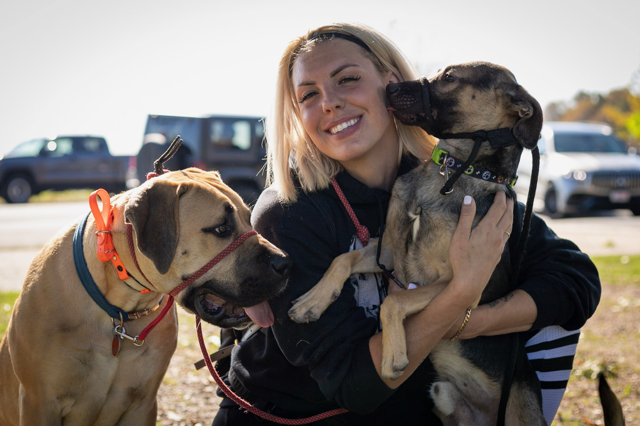 dog trainer in Boston